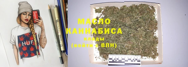 гашик Дмитров