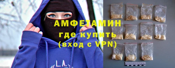 гашик Дмитров