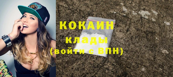 гашик Дмитров