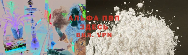 гашик Дмитров
