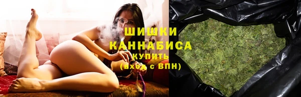 ГАЛЛЮЦИНОГЕННЫЕ ГРИБЫ Дмитриев