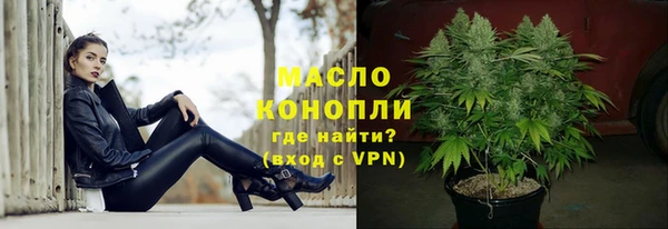 ГАЛЛЮЦИНОГЕННЫЕ ГРИБЫ Дмитриев
