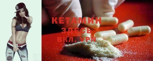 гашик Дмитров