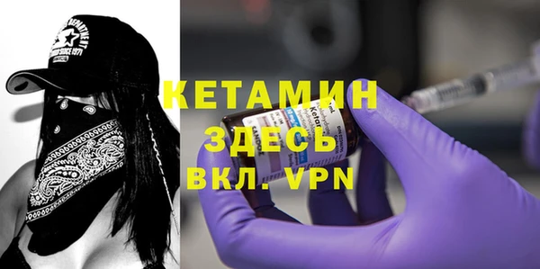 ГАЛЛЮЦИНОГЕННЫЕ ГРИБЫ Дмитриев