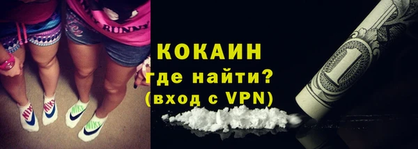 ГАЛЛЮЦИНОГЕННЫЕ ГРИБЫ Дмитриев