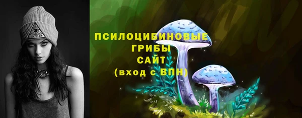 ГАЛЛЮЦИНОГЕННЫЕ ГРИБЫ Дмитриев