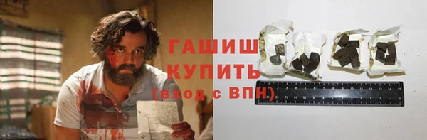 ГАЛЛЮЦИНОГЕННЫЕ ГРИБЫ Дмитриев