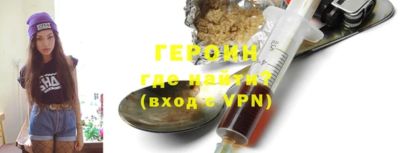 ГАЛЛЮЦИНОГЕННЫЕ ГРИБЫ Дмитриев
