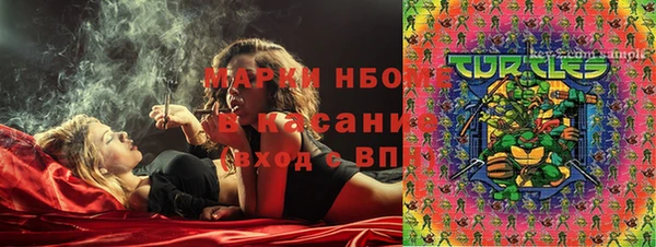 ГАЛЛЮЦИНОГЕННЫЕ ГРИБЫ Дмитриев