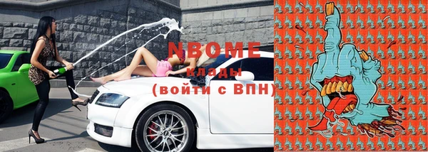 гашик Дмитров