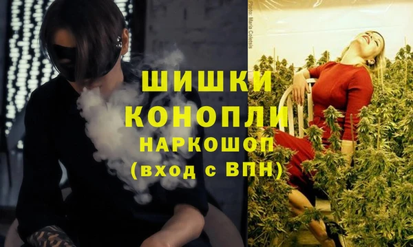 ГАЛЛЮЦИНОГЕННЫЕ ГРИБЫ Дмитриев