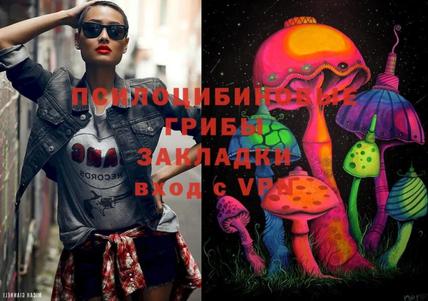гашик Дмитров