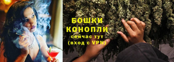 гашик Дмитров