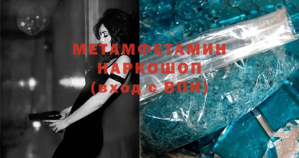 ГАЛЛЮЦИНОГЕННЫЕ ГРИБЫ Дмитриев