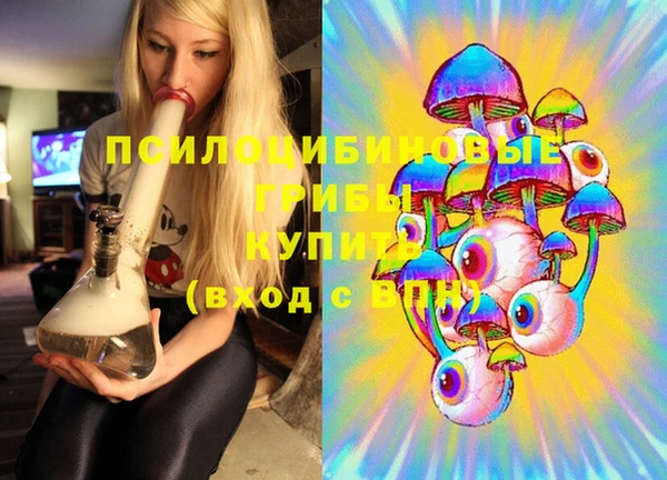 таблы Дмитровск