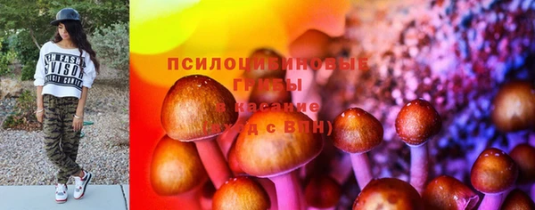 ГАЛЛЮЦИНОГЕННЫЕ ГРИБЫ Дмитриев