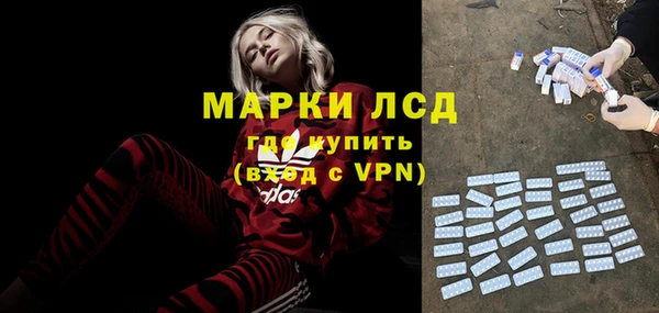 гашик Дмитров