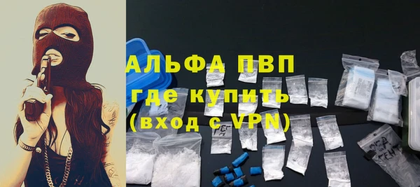 ГАЛЛЮЦИНОГЕННЫЕ ГРИБЫ Дмитриев